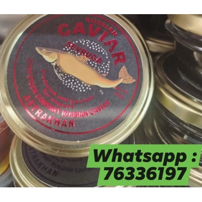 Caviar lebanon Caviar lebanon