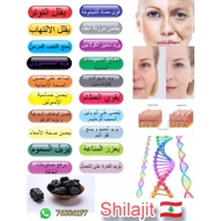 Shilajit lebanon anti aging anti ..