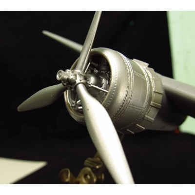 Bristol Beaufort. Cowlings and engines Bristol Beaufort. Cowlings and engines