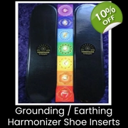 Harmonizer Shoe Inserts
