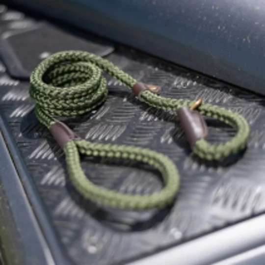 Ancol Field Slip Lead