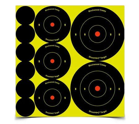 Birchwood Casey Shoot'N'C Targets