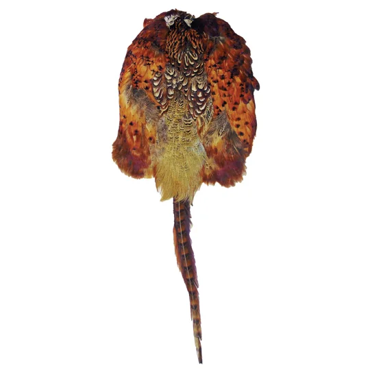 Bisley Pheasant Skin Dog Training Aid
