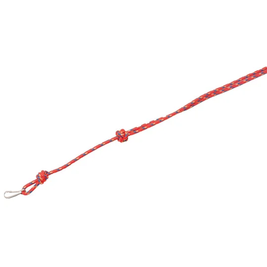 Bisley Coloured Whistle Lanyards