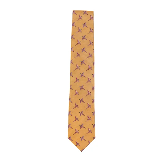 Bonart Pure Silk Sporting Tie