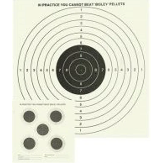 Bisley Competition Grade Targets 17cm