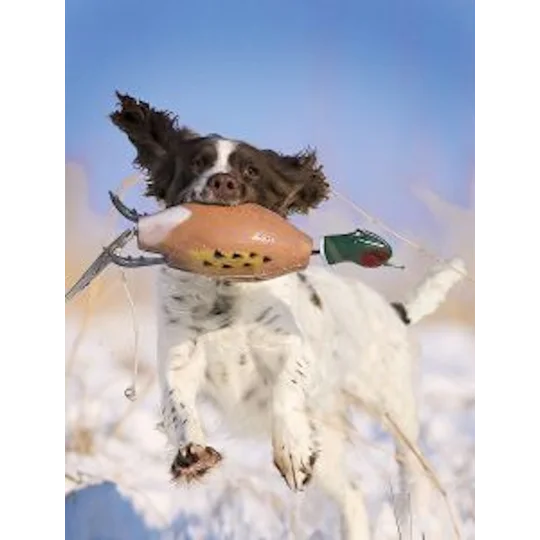 Dokken Dead Fowl Pheasant Dummy