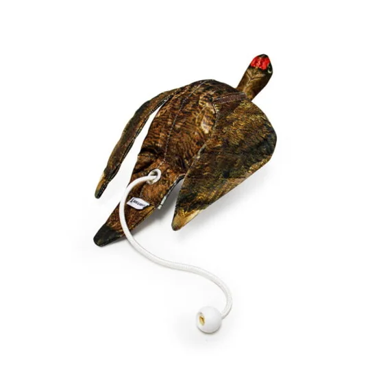 Dog & Field Dead Bird Grouse