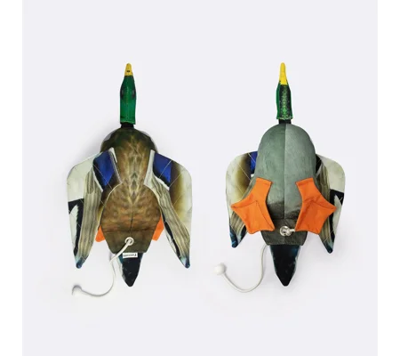Dog & Field Dead Bird Mallard