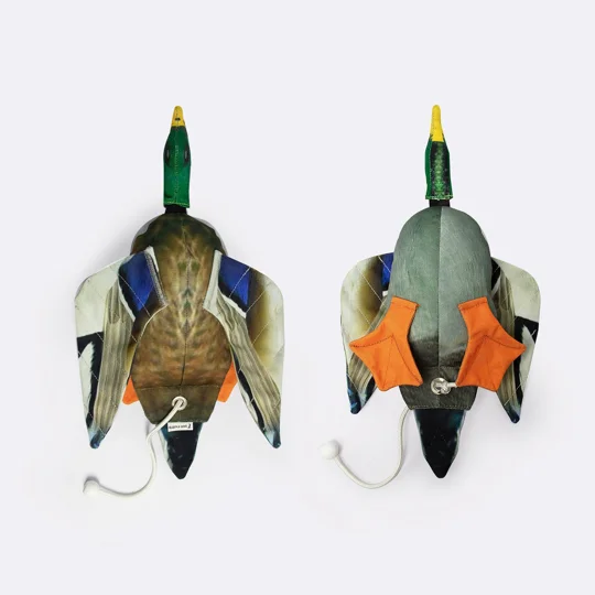Dog & Field Dead Bird Mallard