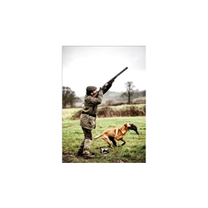 Gun and Game Stationary Gift Cards