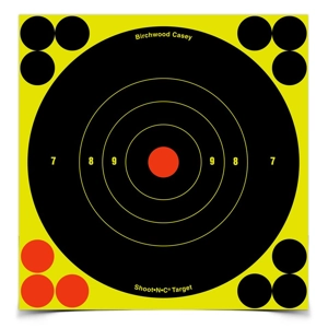 Birchwood Casey Shoot'N'C Targets 12 x 6