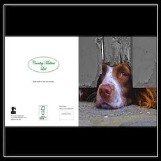 Country Matters Ltd Stationary Gift Cards