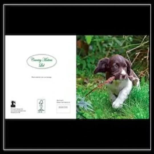 Country Matters Ltd Stationary Gift Cards