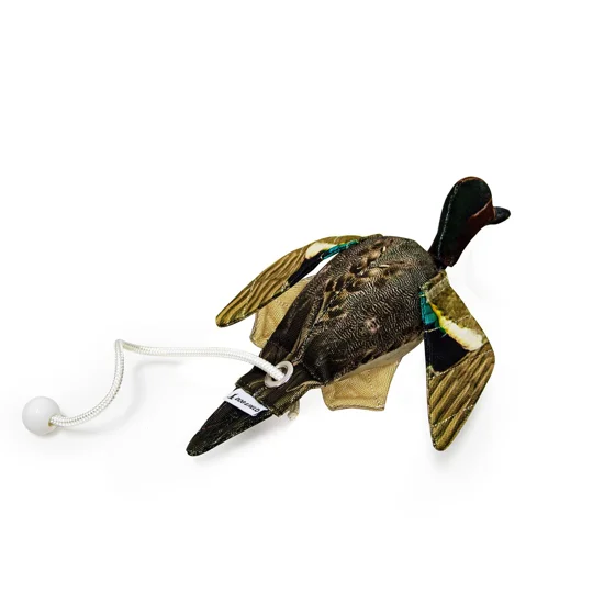 Dog & Field Dead Bird Teal