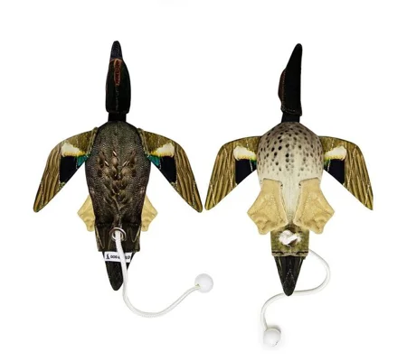 Dog & Field Dead Bird Teal