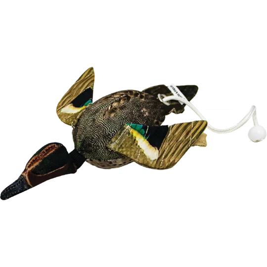 Dog & Field Dead Bird Teal