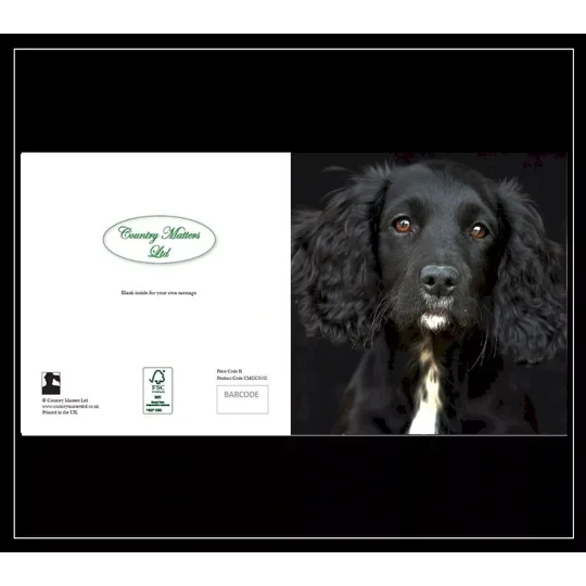 Country Matters Ltd Stationary Gift Cards