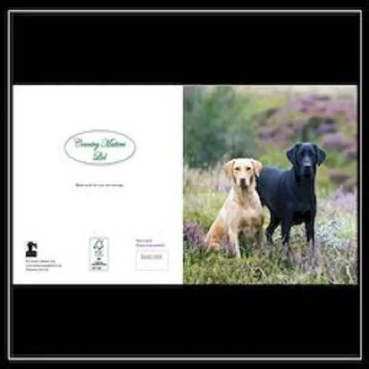 Country Matters Ltd Stationary Gift Cards