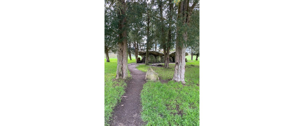 Atelier Connexion aux etres de la nature, ressentis