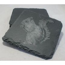 Red Squirrel Coasters | Slat..