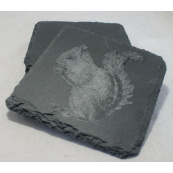 Red Squirrel Coasters | Slate 4-Pack | Housewarming Gift | UK Wildlife