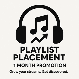 Reach 1000 Streams/ Spotify Playlists Placement