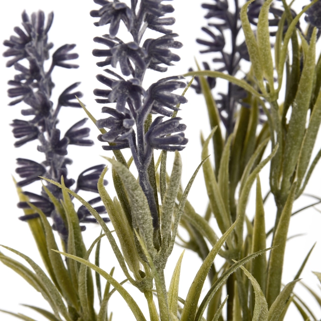 Additional Image for Small Lavender Spray