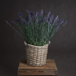 Large Lavender Spray