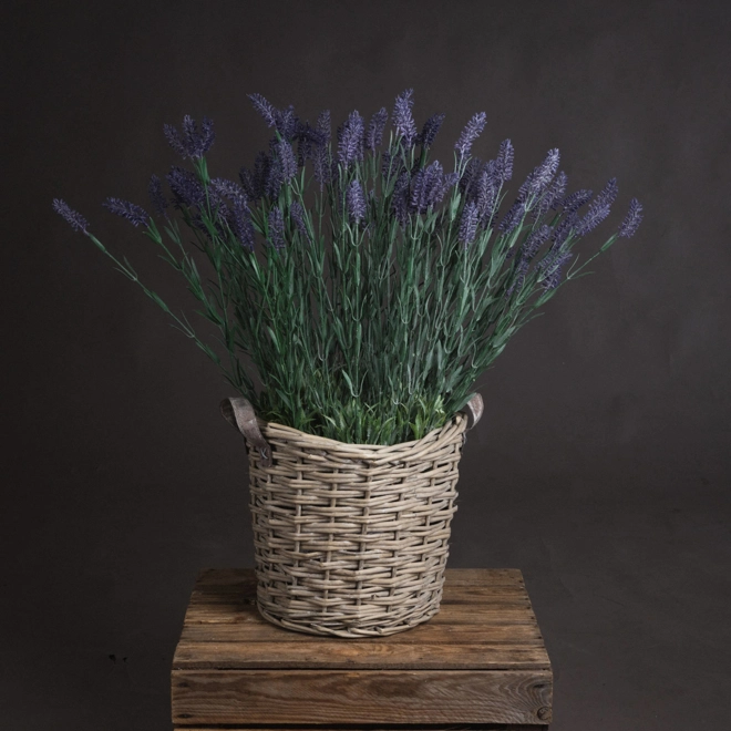 product Image for Large Lavender Spray