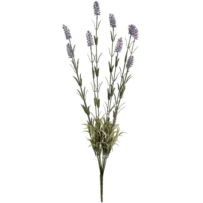 Additional Image for Large Lavender Spray