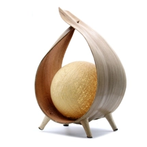 Natural Coconut Lamp - ..