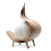 Natural Coconut Lamp - ..