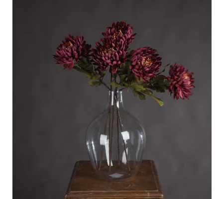 Autumn Spider Chrysanthemum single stems