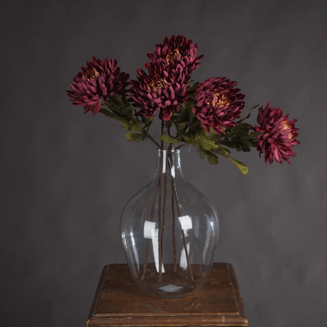 product Image for Autumn Spider Chrysanthemum single stems