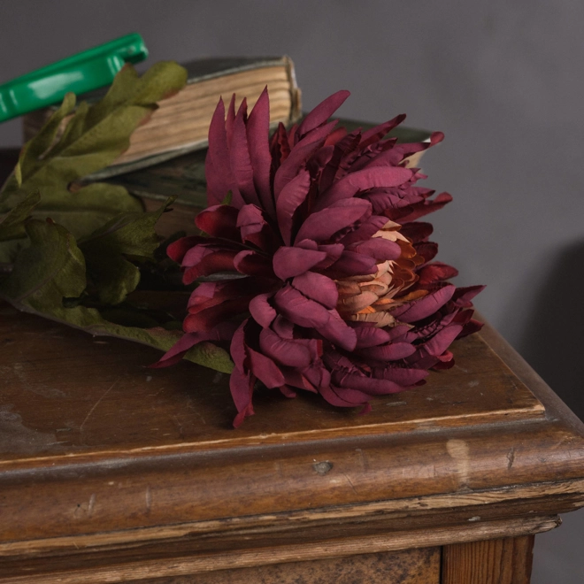 Additional Image for Autumn Spider Chrysanthemum single stems