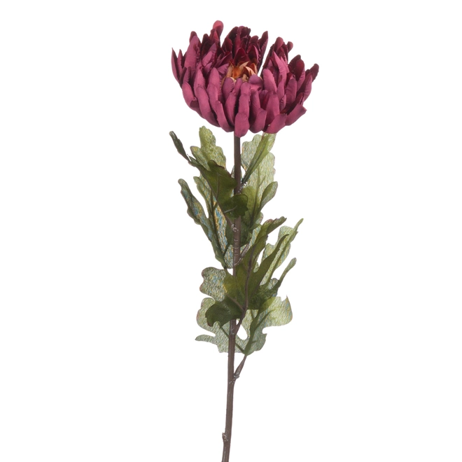 Additional Image for Autumn Spider Chrysanthemum single stems