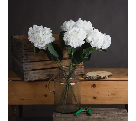 White Small Head Hydrangea