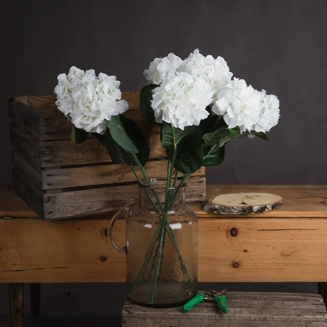Additional Image for White Small Head Hydrangea