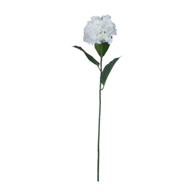 Additional Image for White Small Head Hydrangea