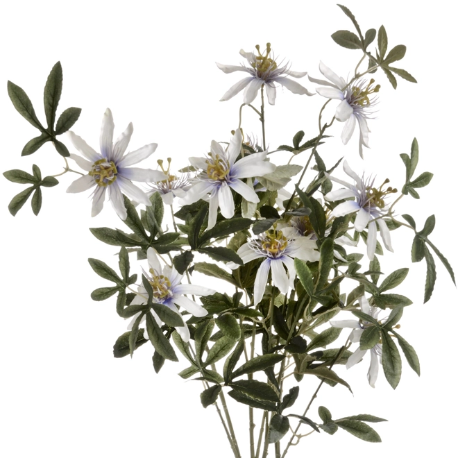 Additional Image for Passion Flower Spray