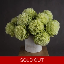 Green Peony
