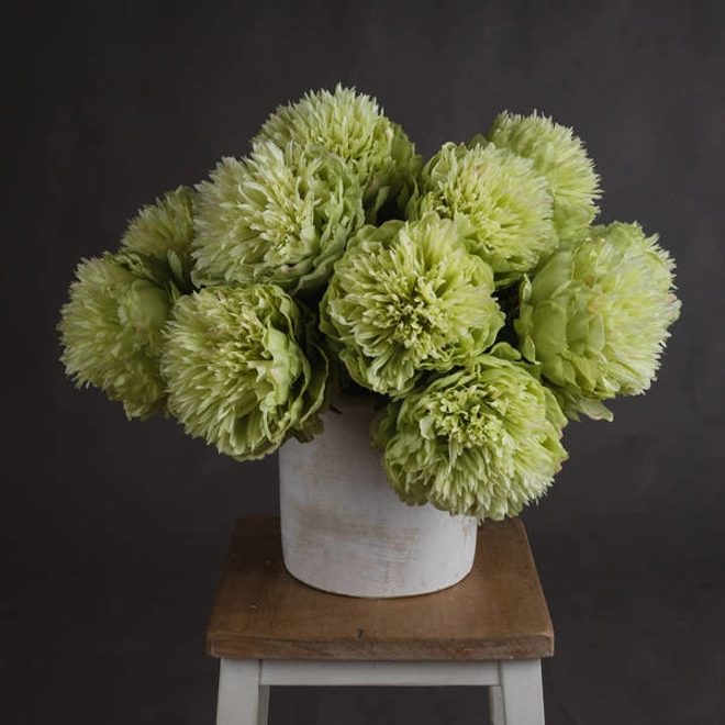 product Image for Green Peony
