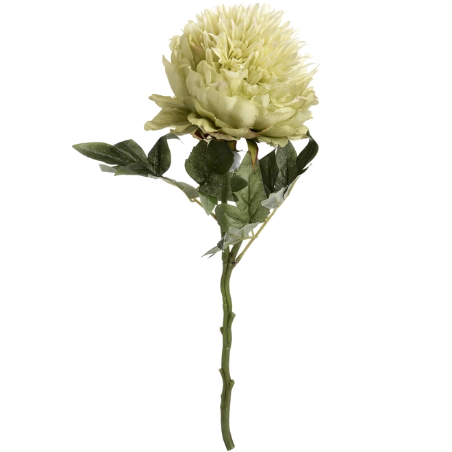 Additional Image for Green Peony
