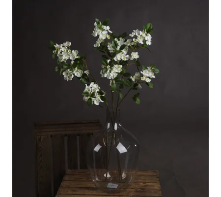 White Spring Mock Orange Flower