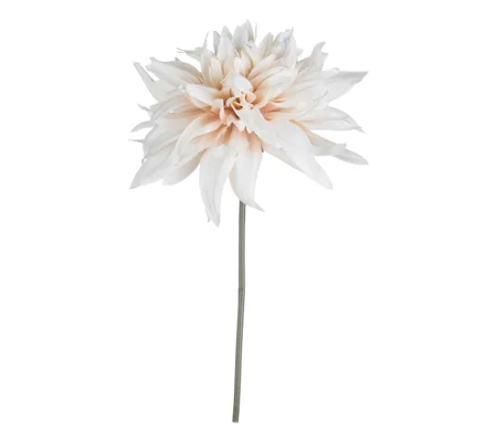 Café Au Lait Flower