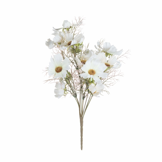 product Image for Cream Cosmos Spray