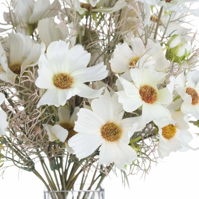 Additional Image for Cream Cosmos Spray