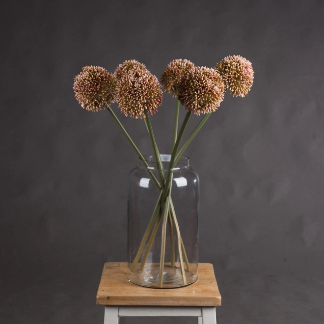 product Image for Pink Allium