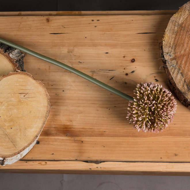 Additional Image for Pink Allium